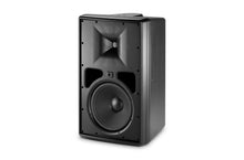 Load image into Gallery viewer, JBL Control 31 Two-Way High-Output Indoor/Outdoor Monitor speaker

